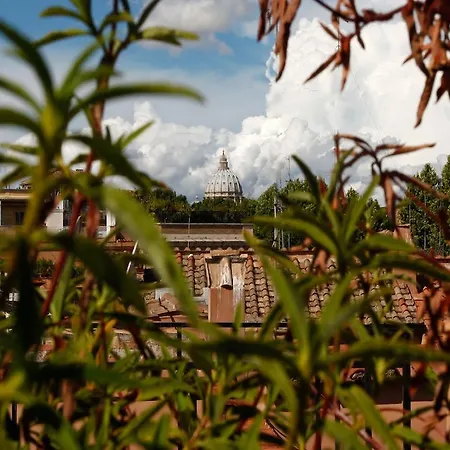 & - Navona Roma